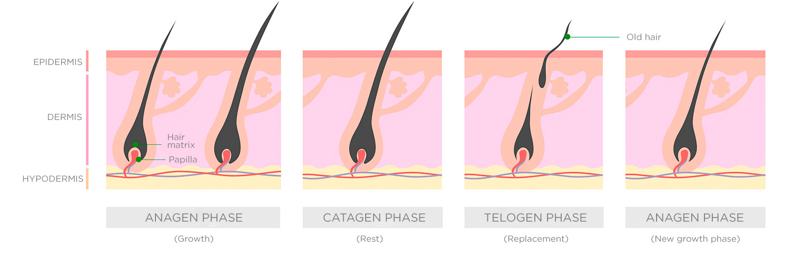 Lambdapil Hairdensity Capsules. Density, volume and strength | ISDIN